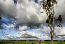 吉他效果器评测：这 5 款让你的音色秒变高级！